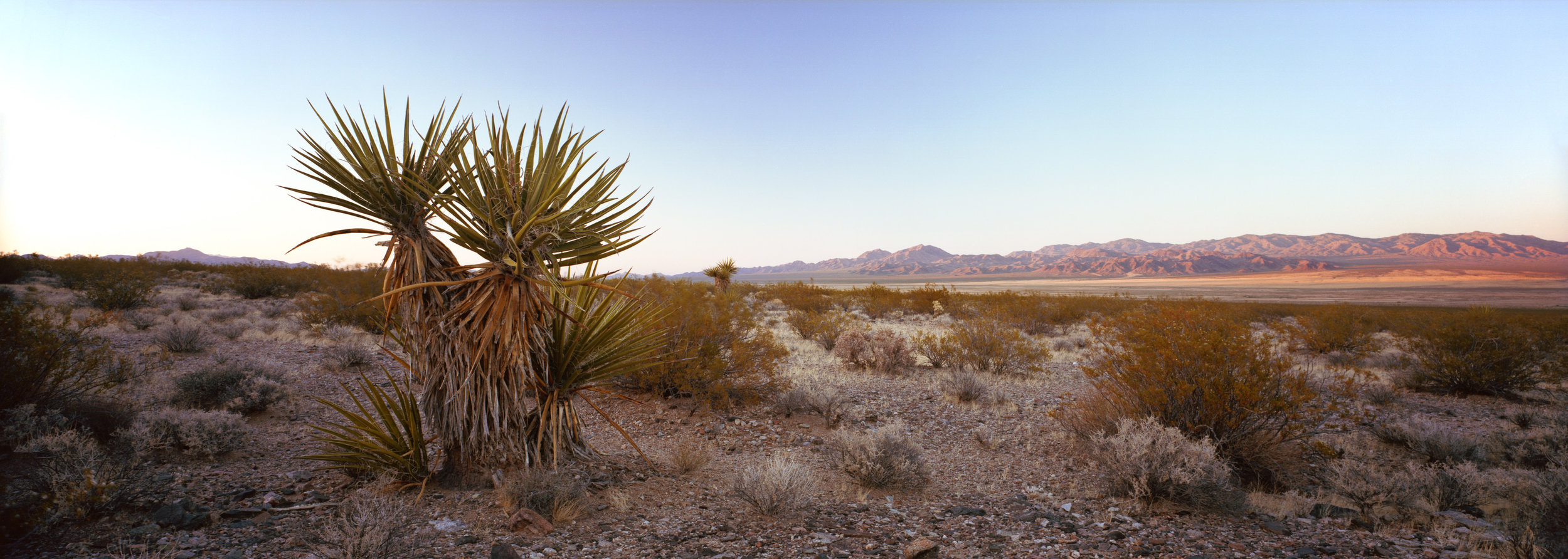  Nevada-California border at sunset, in Mojave National Preserve.  Ektar 100, 4 sec, f/22. 