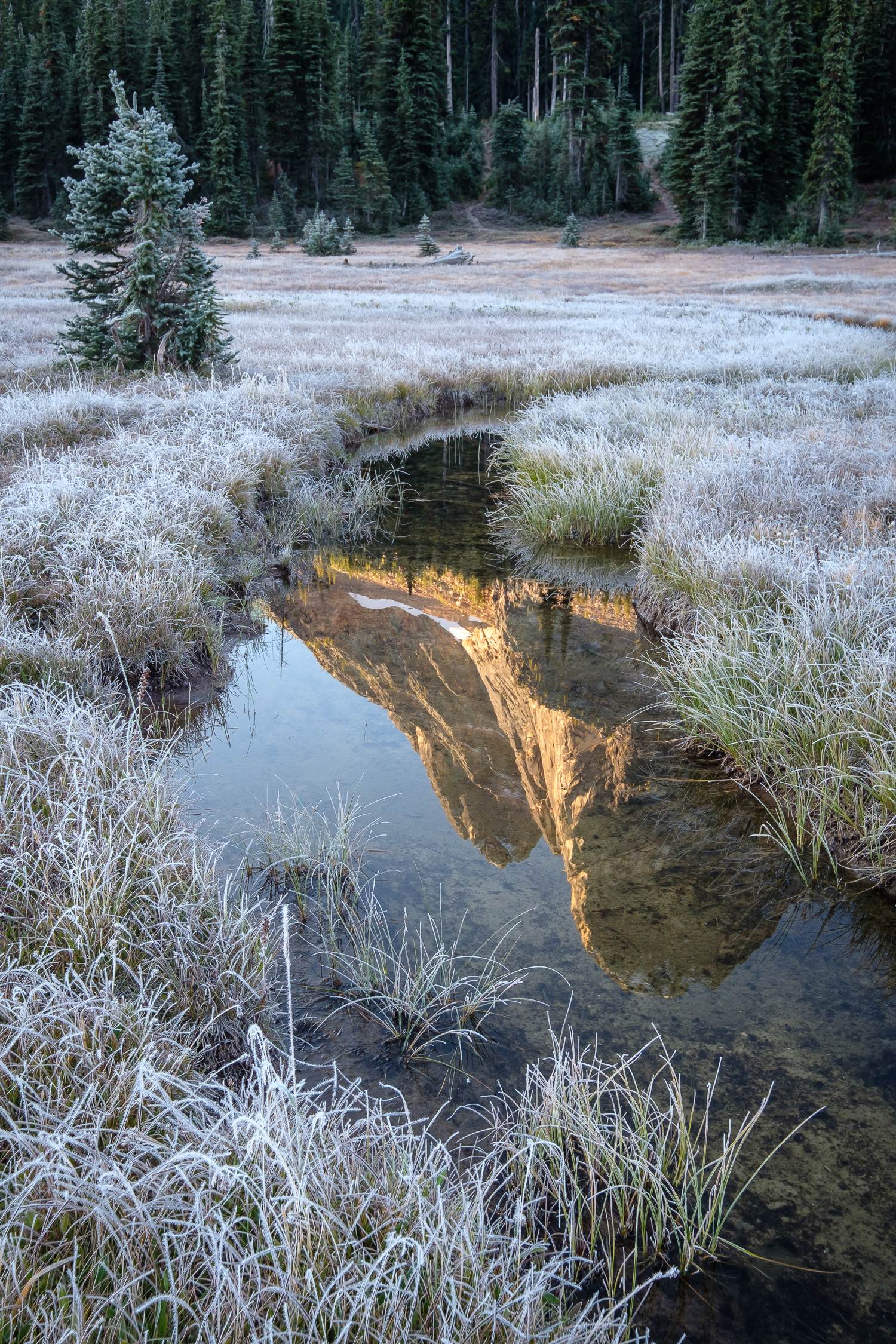  Liberty Bell reflected in the headwaters of a creek on a chilly morning 