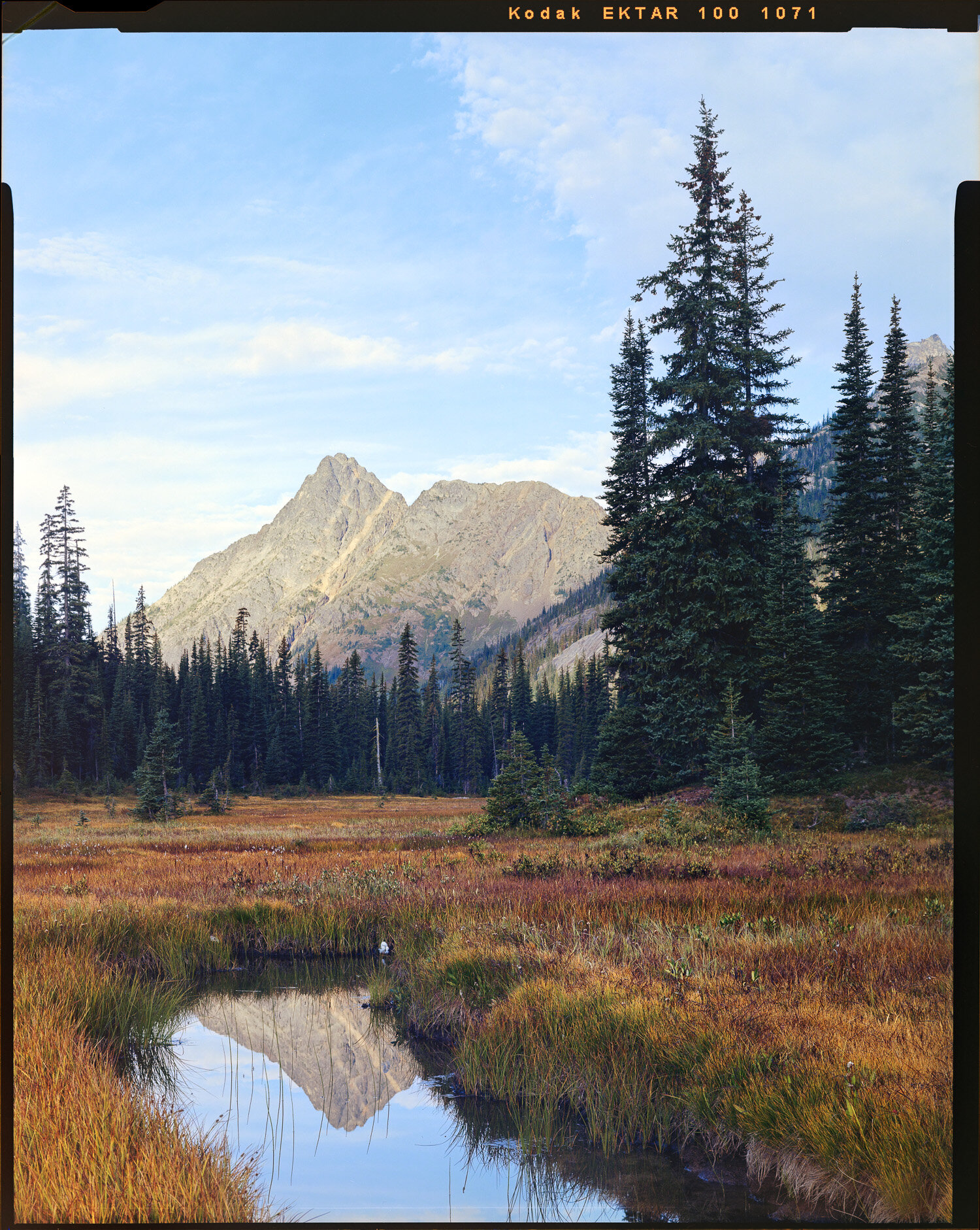  Whistler Mountain from State Creek. Ektar 100. 