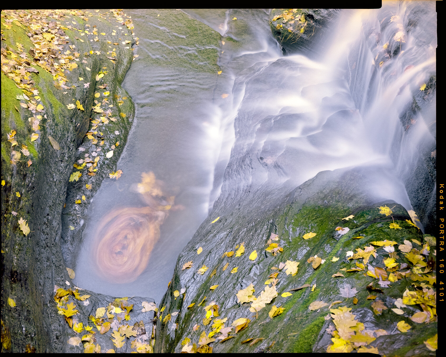  Lick Brook. Portra 160. 