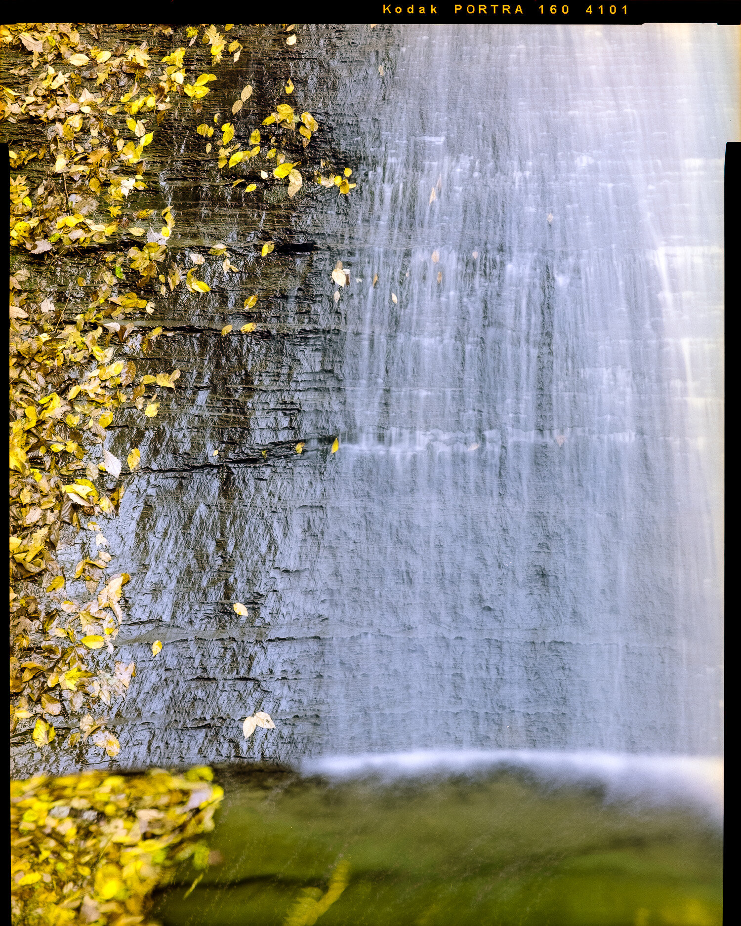  Excelsior Glen, Finger Lakes, New York. Portra 160. 