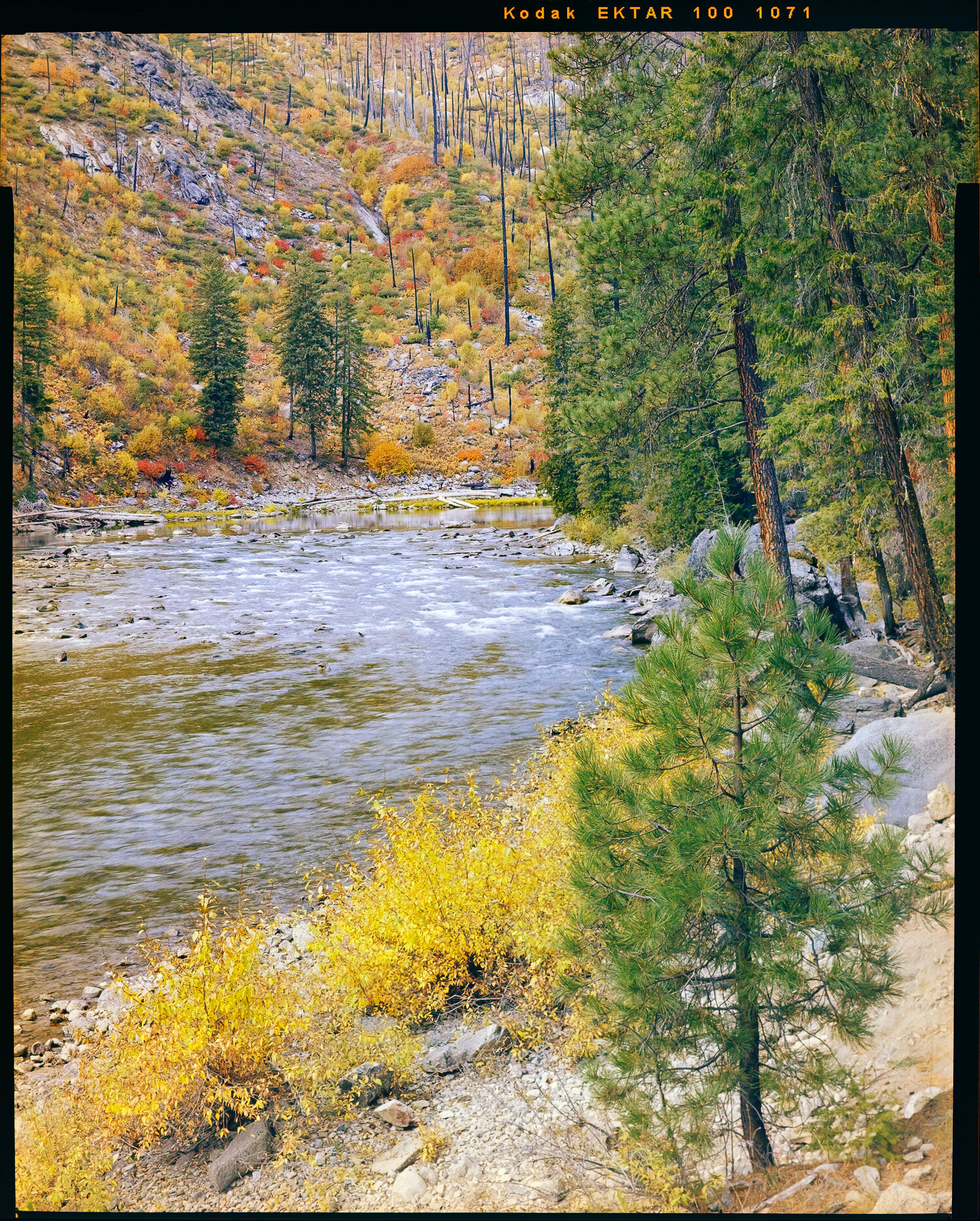  Tumwater Canyon in Autumn. Ektar 100. 