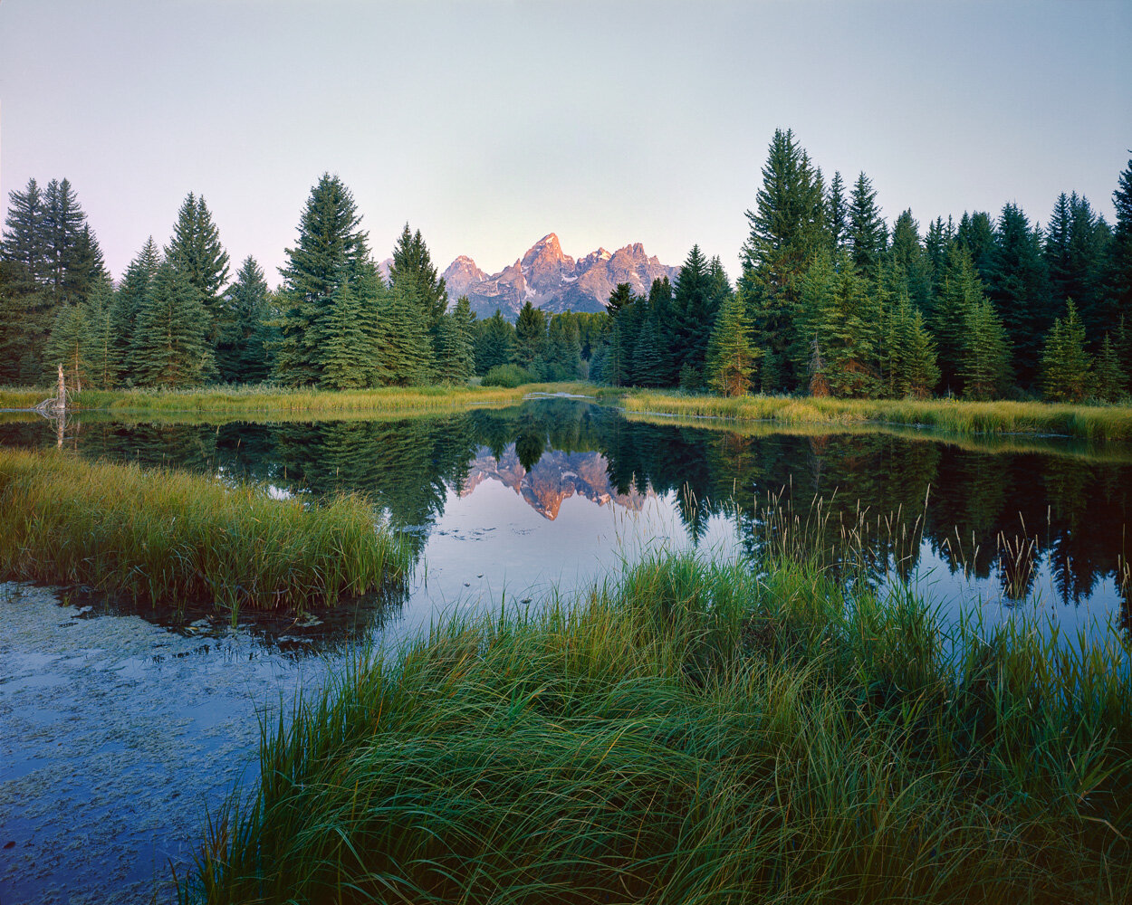  Sunrise on the Grand Teton from Schwabachers Landing. Ektar 100. 