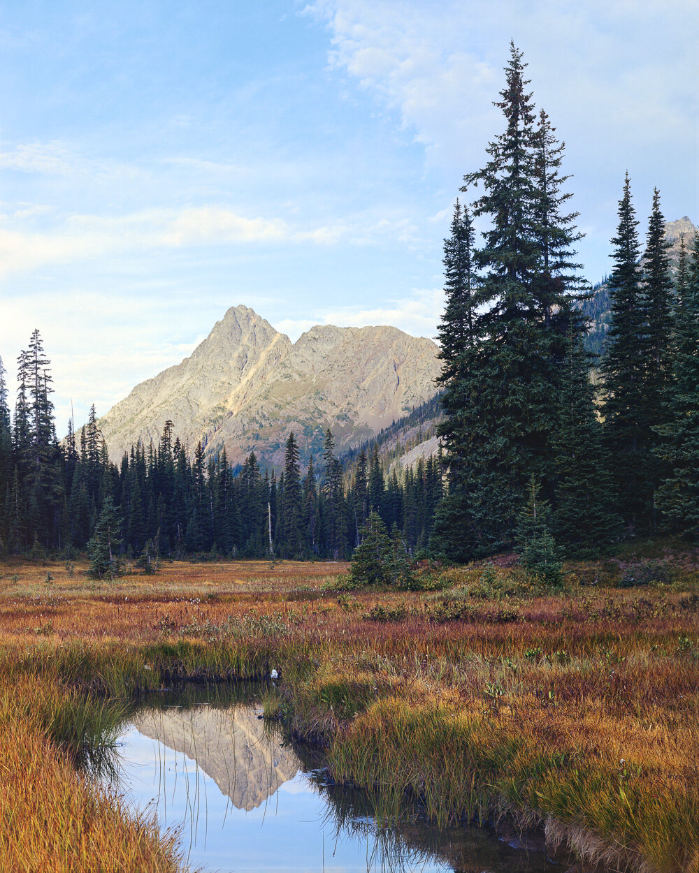  Whistler Mountain from State Creek. Ektar 100. 