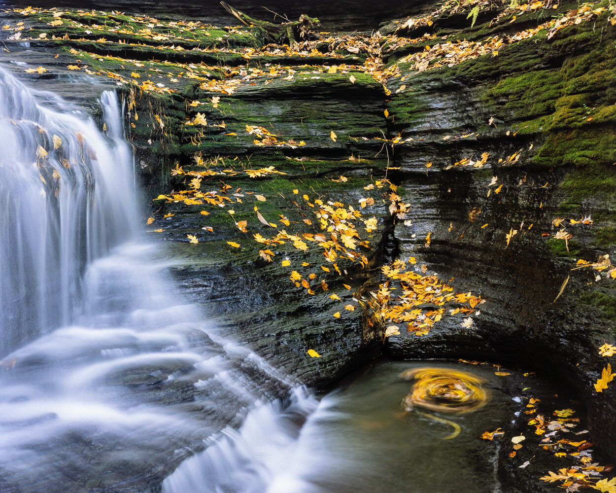  Lick Brook, NY. Velvia 100, 4x5. 