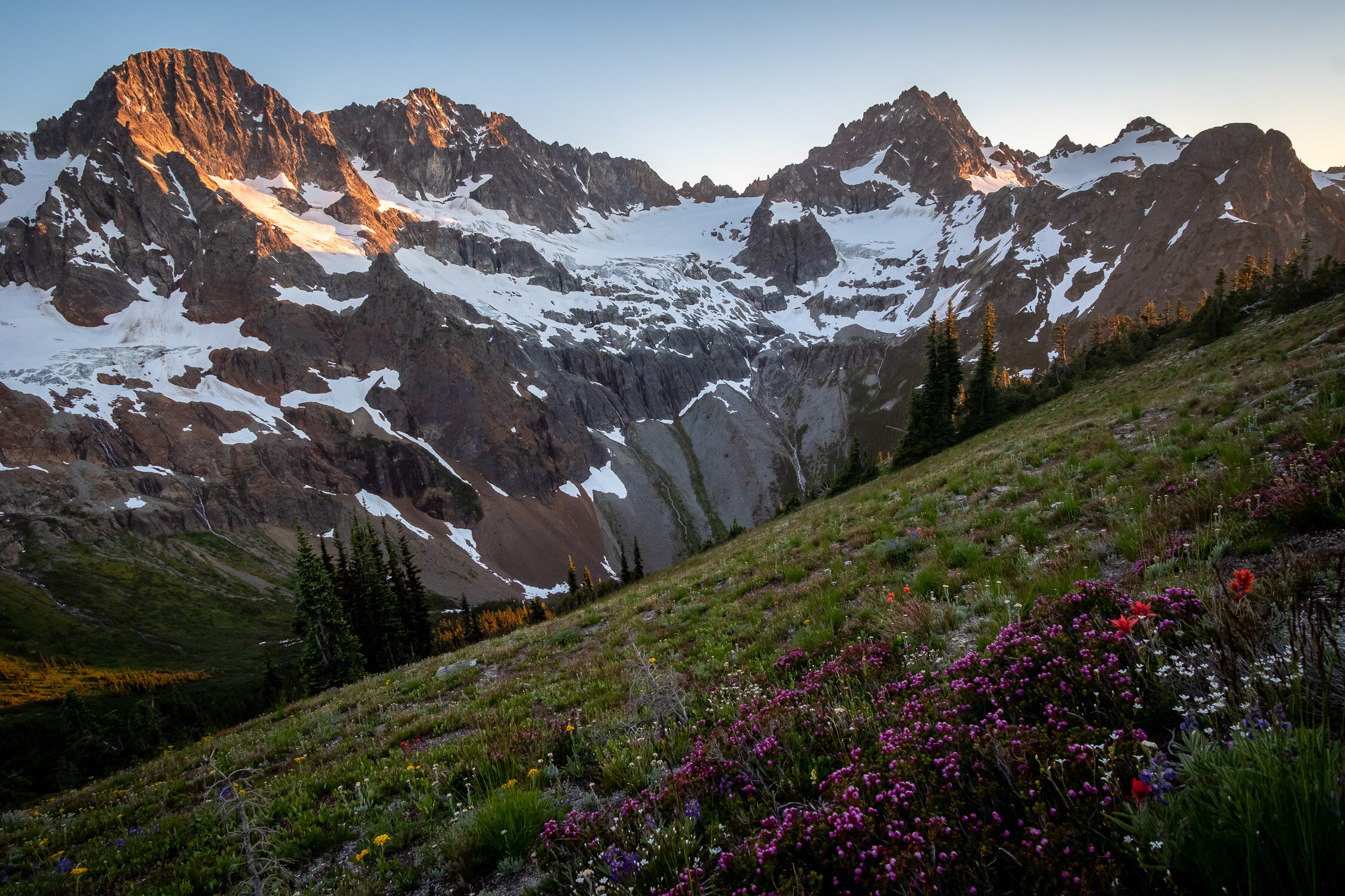  Mesahchie, Katsuk, Kimtah, and Cosho above flower and heather meadows. 