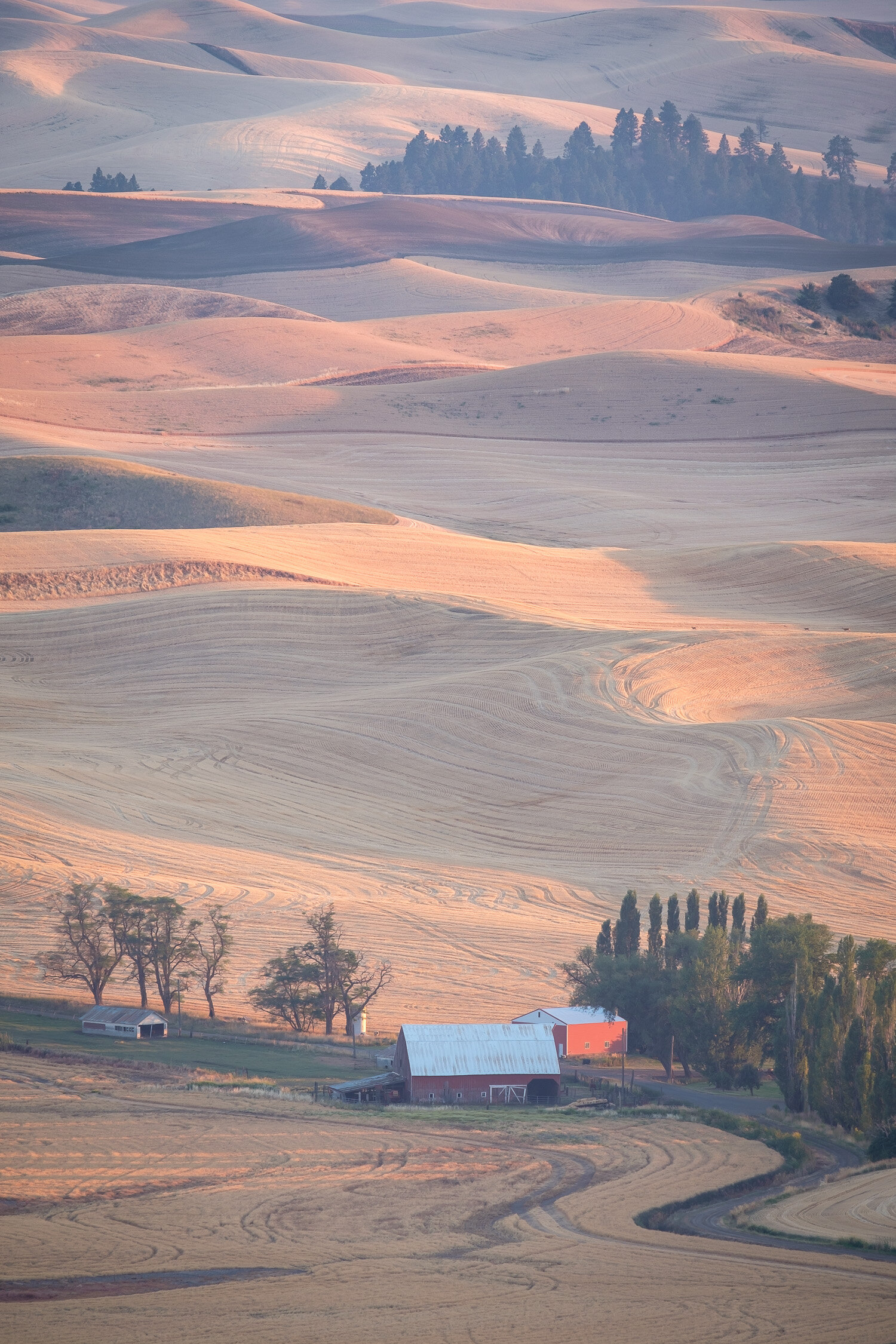  A quiet August night in the Palouse 