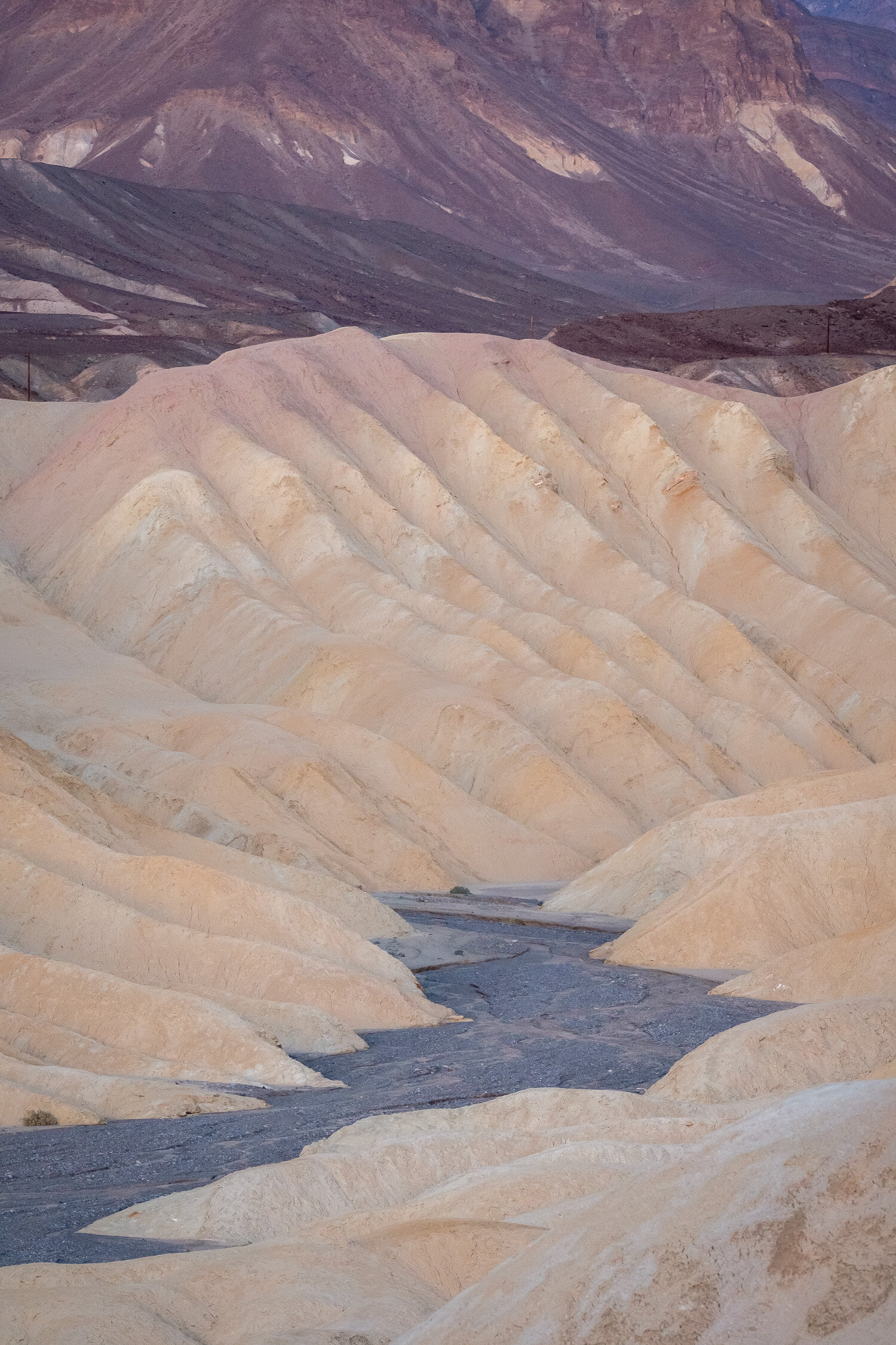  Gower Gulch at dusk, Death Valley National Park. March 2020. 