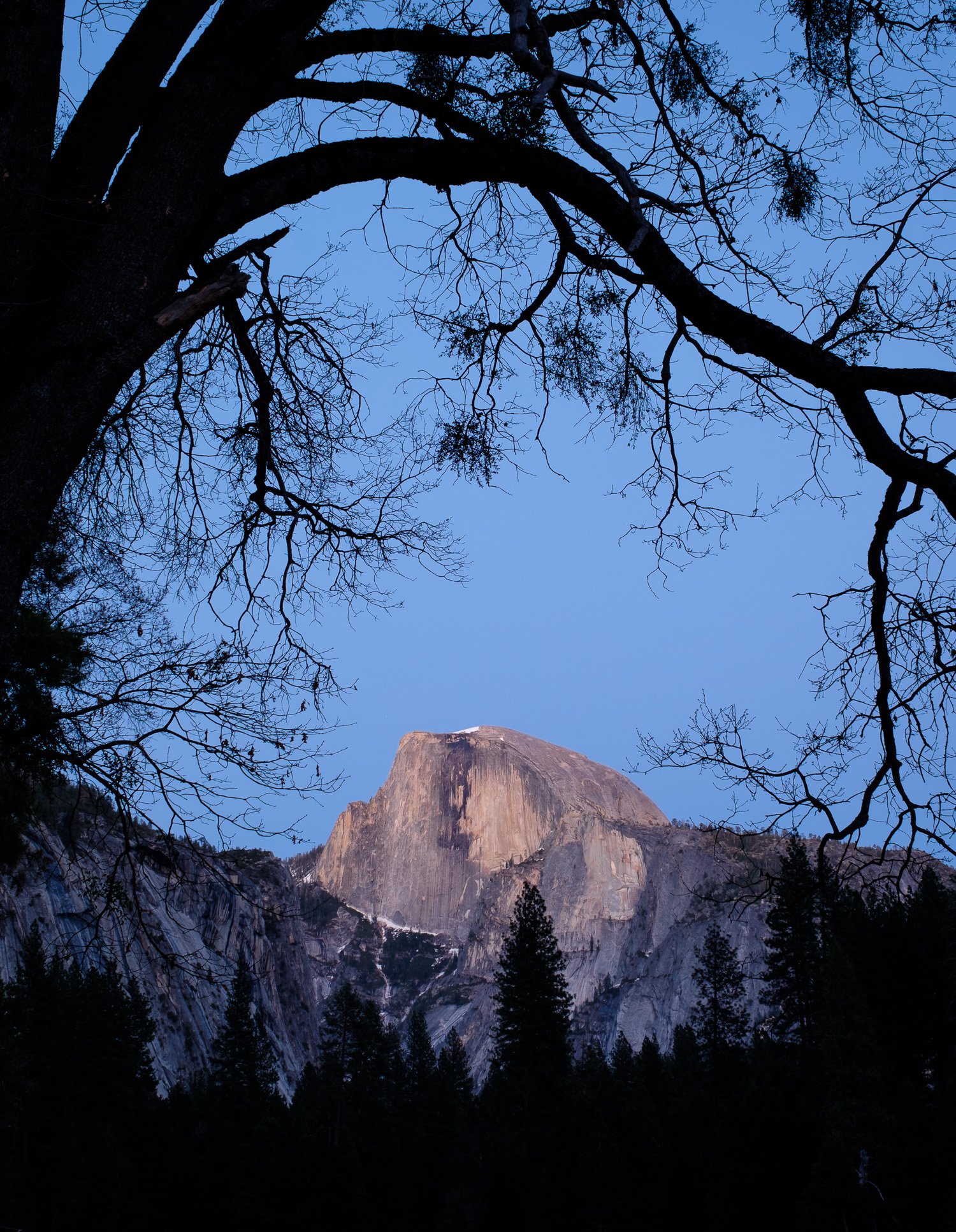  Dusk light on Half Dome, Yosemite National Park, April. 