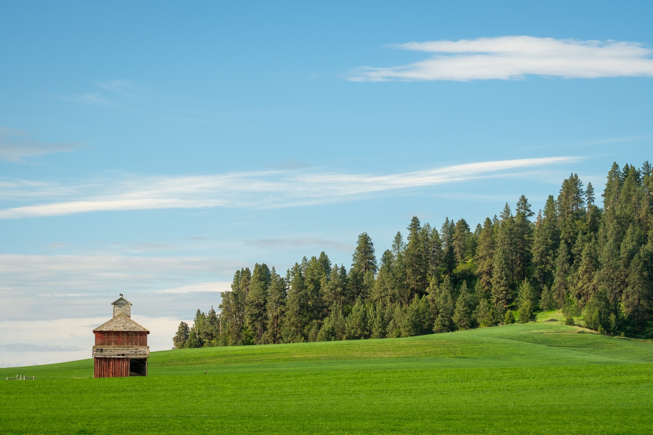  A barn and bright green fields in Washington's Palouse Region near the border with Idaho. Late May. 