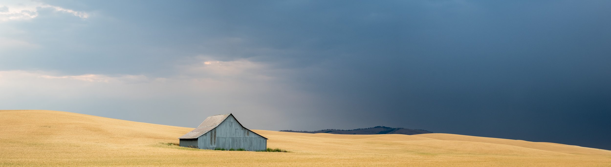  A barn sits in the midst of a summer morning thunderstorm in the Palouse in late July. 