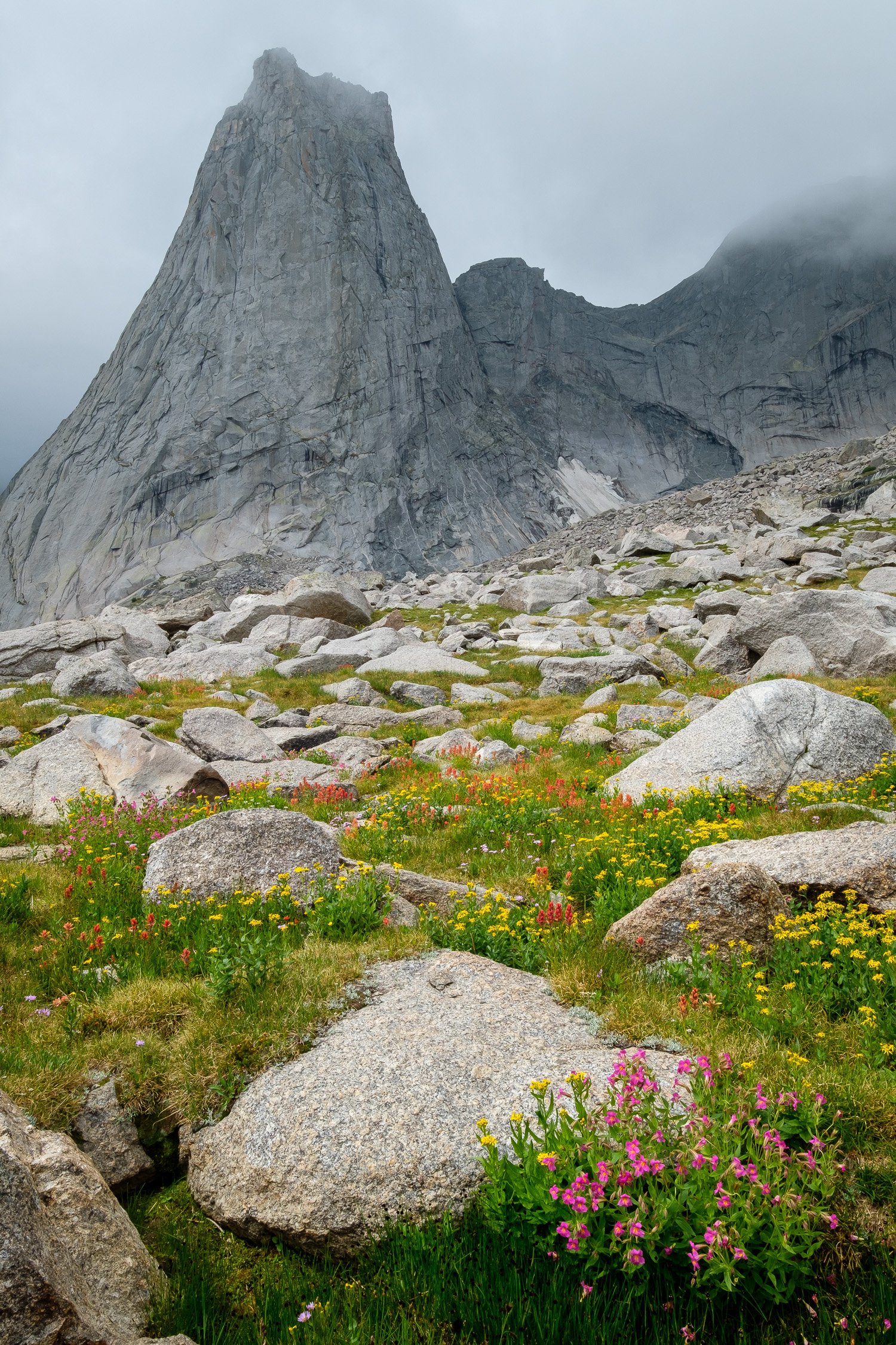  Pingora Peak, one of the most famous summits in Wyoming's Cirque of the Towers, with wildflowers, taken during a three day solo backpacking trip in early August 