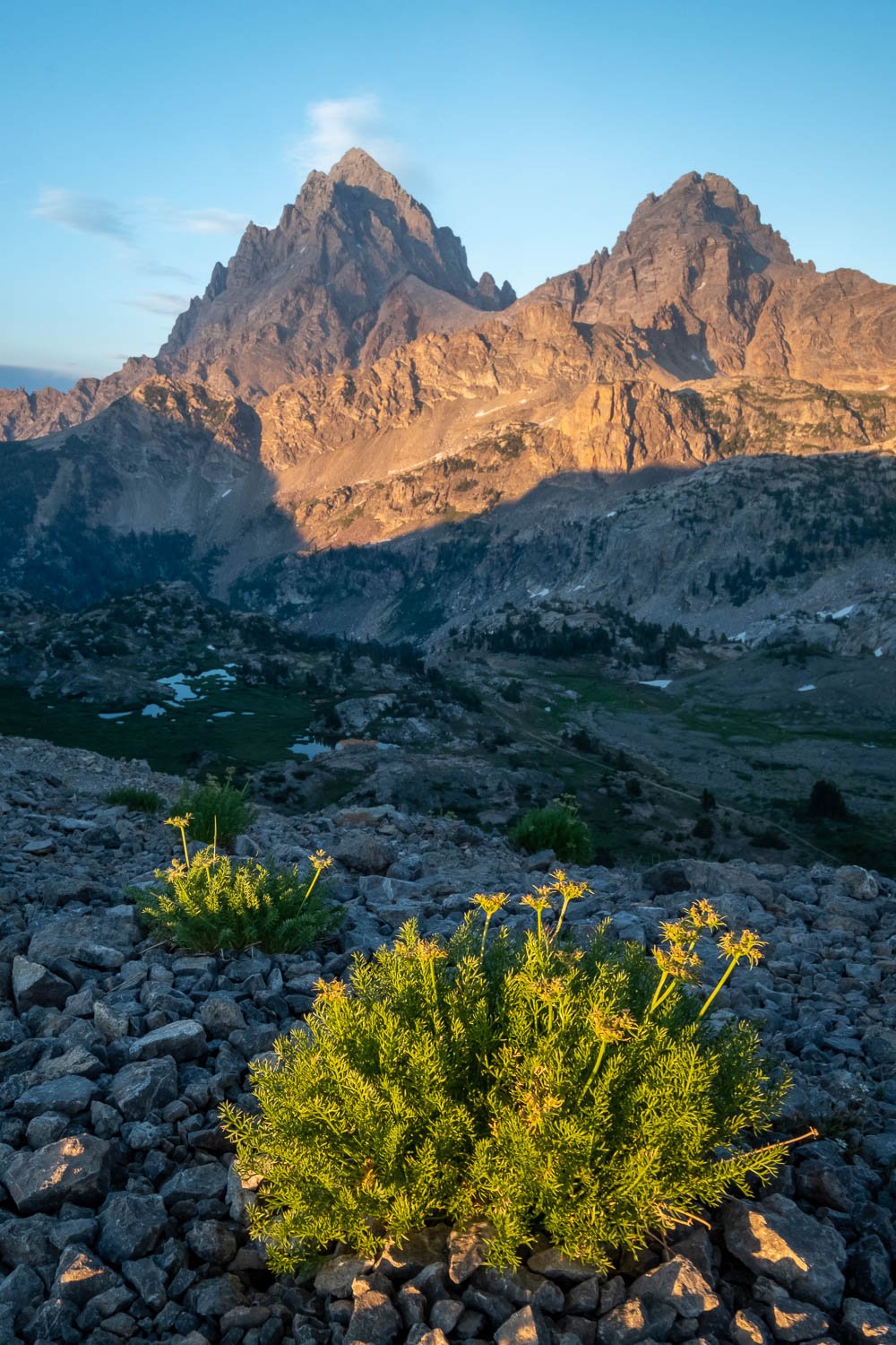  The Grand and the Middle Teton from Hurricane Pass, July. 