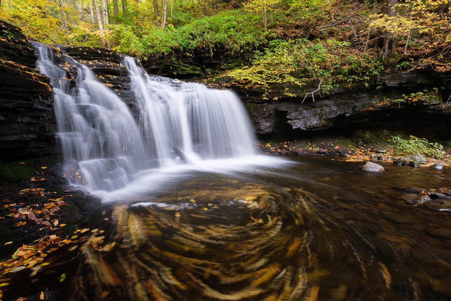  Autumn leaves swirling in an eddy on a lovely photo road trip throughout the Northeast. Ricketts Glen, PA, October. 