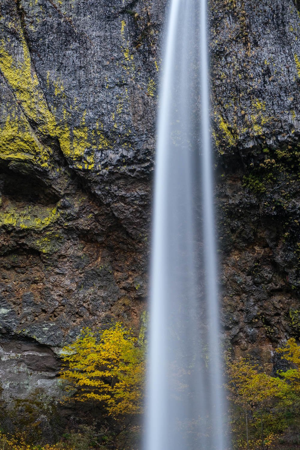  A waterfall detail in the Columbia River Gorge, Oregon, November. 