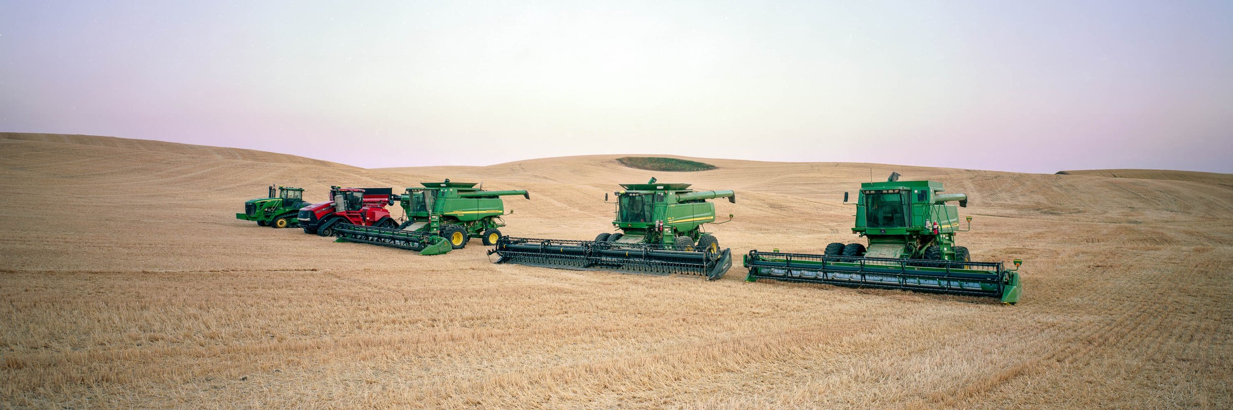 Harvest Time