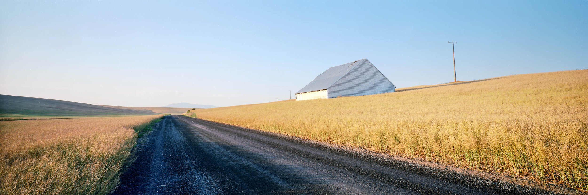 Palouse Backroads