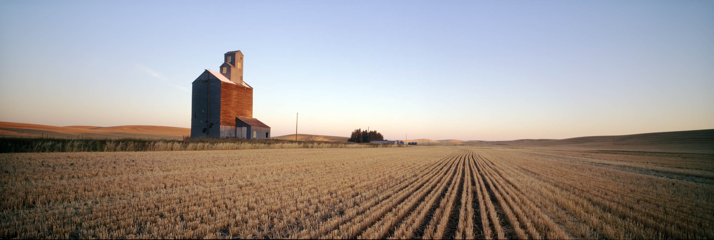 Elevator and Field
