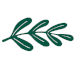 fern graphic.png