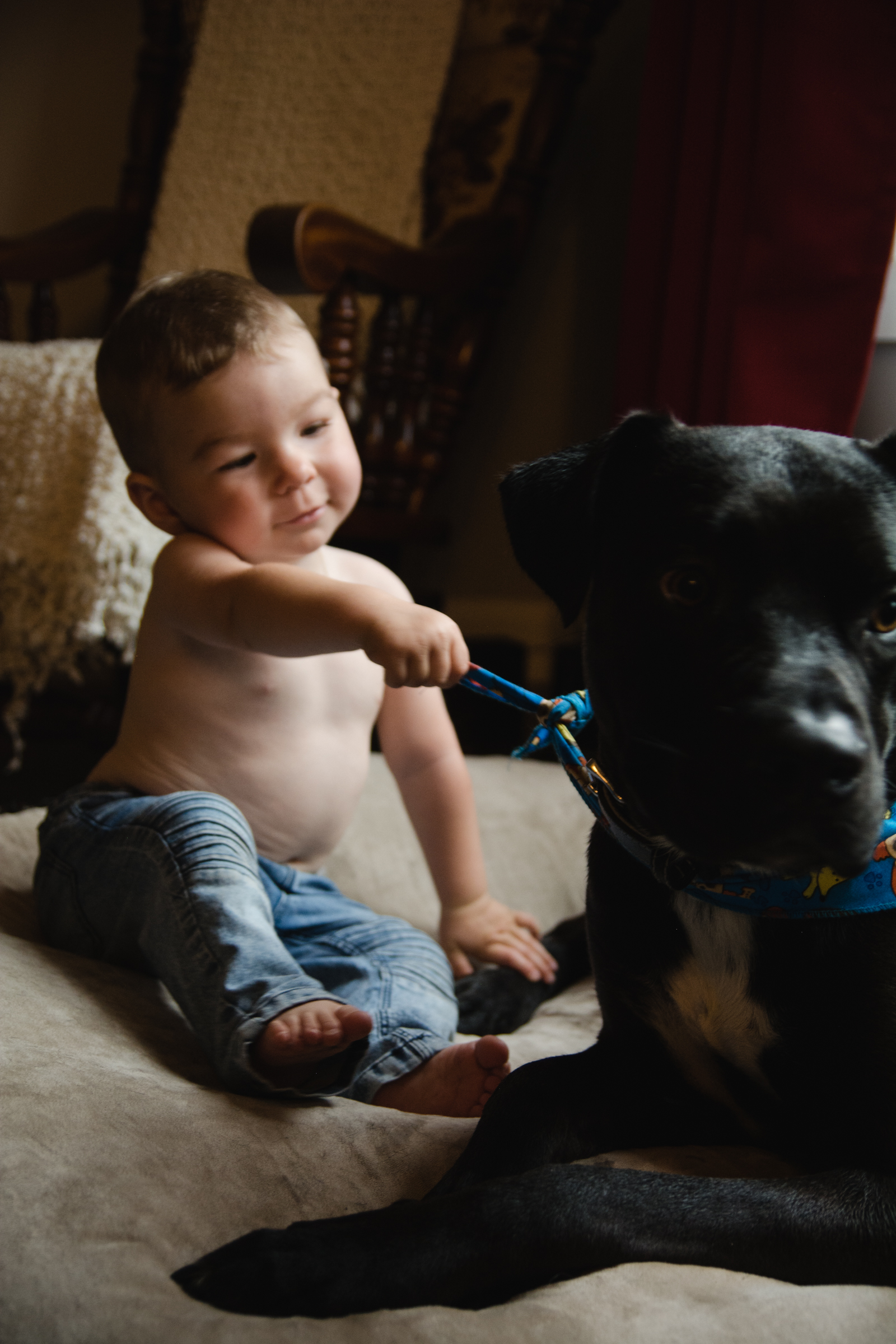 photo-d-un-enfant-avec-un-gros-chien-photographe-de-famille-a-domicile-montreal-victoriaville-enfant-lifestyle-61.jpg