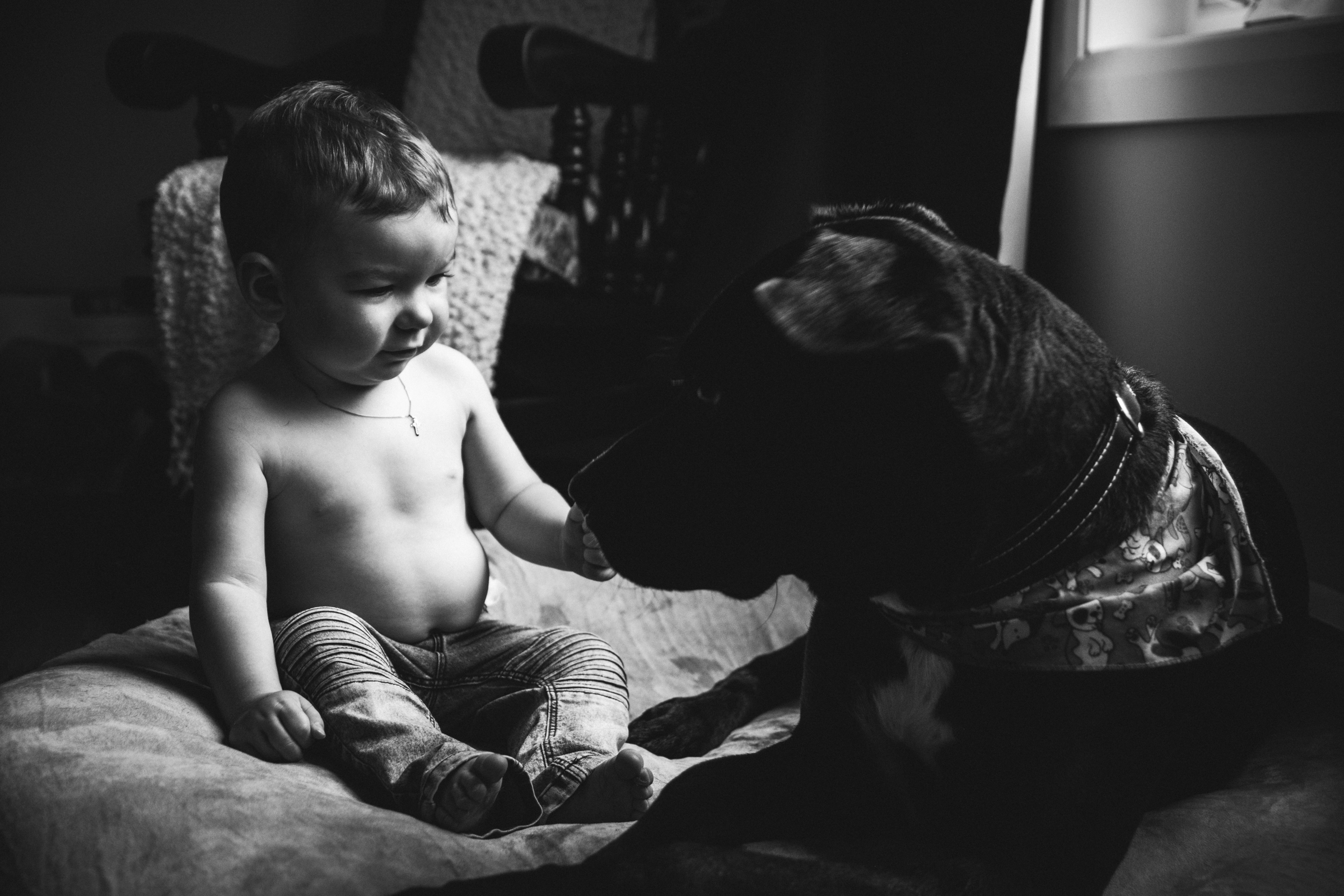 photo-noir-et-blanc-garcon-avec-chien-photographe-de-famille-a-domicile-montreal-victoriaville-enfant-lifestyle-63.jpg
