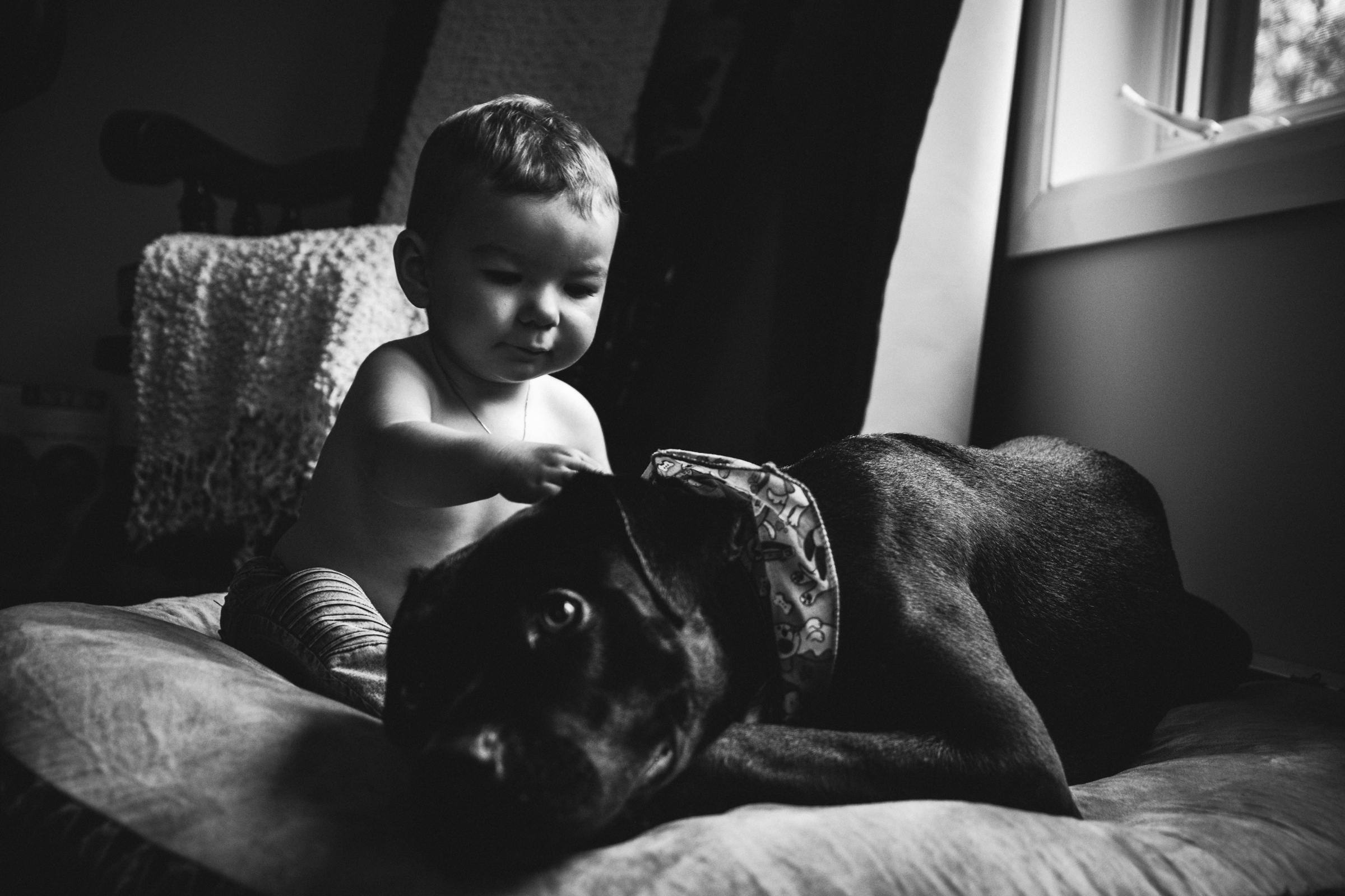 photo-noir-et-blanc-garcon-avec-chien-photographe-de-famille-a-domicile-montreal-victoriaville-enfant-lifestyle-65.jpg