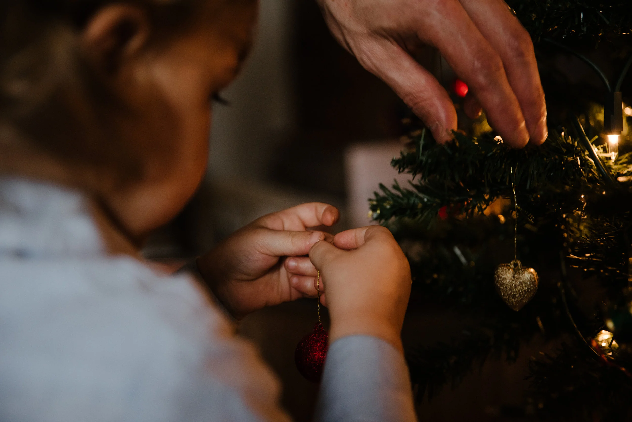 008-photo-d-un-enfant-qui-met-une-boule-de-noel-dans-un-sapin-photographe-lifestyle-famille-a-montreal-1218.jpg