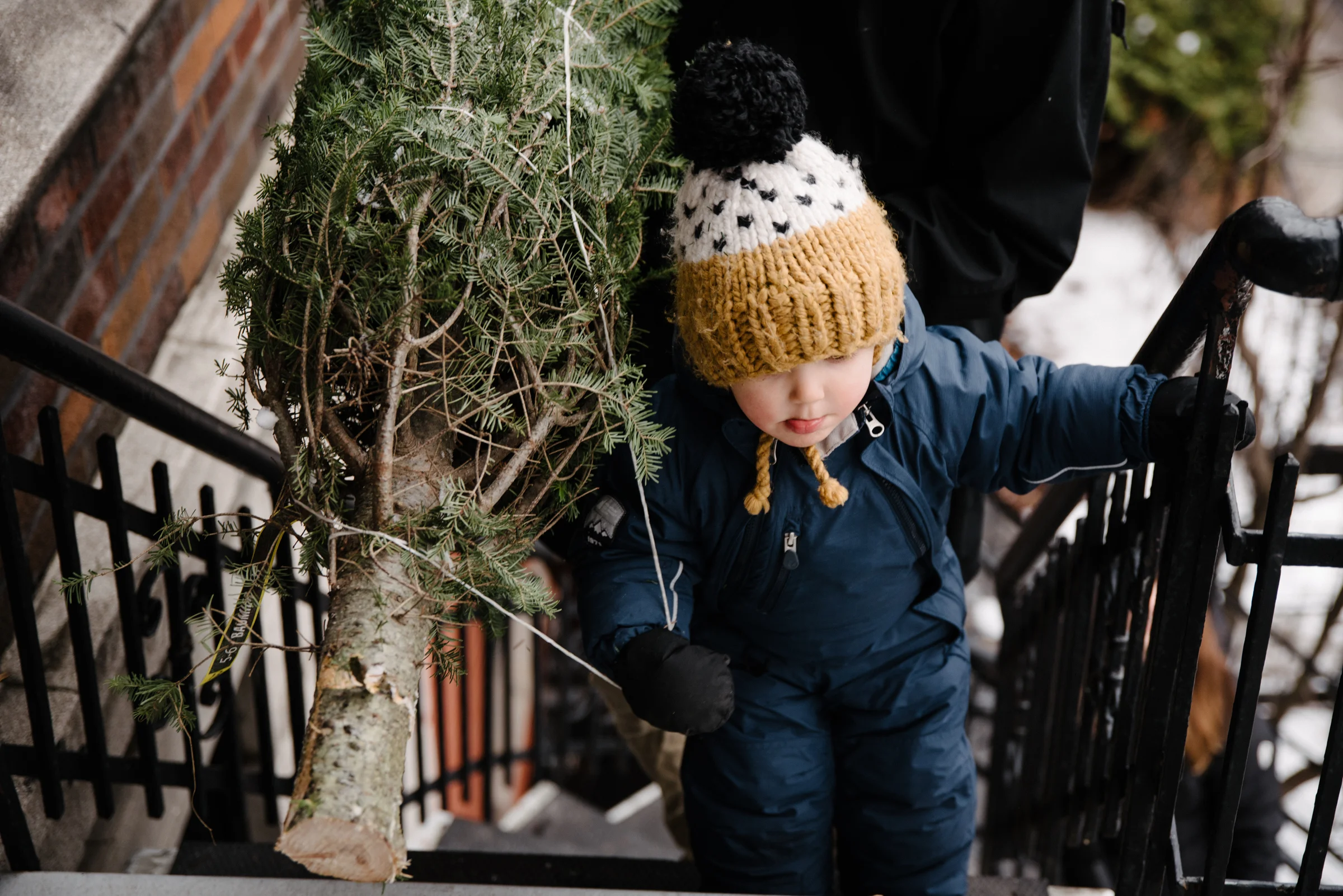 014-photo-d-un-petit-garcon-qui-monte-un-sapin-de-noel-dans-un-escalier-en-colimacon-montrealais-photographe-lifestyle-a-montreal-132.jpg