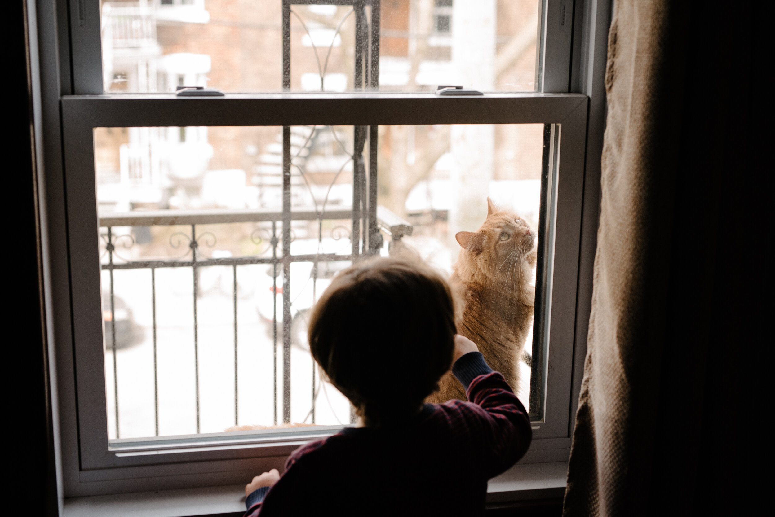 20200422_photo-enfant-et-chat-par-la-fenetre-photographe-documentaire-de-famille-a-montreal-005.jpg