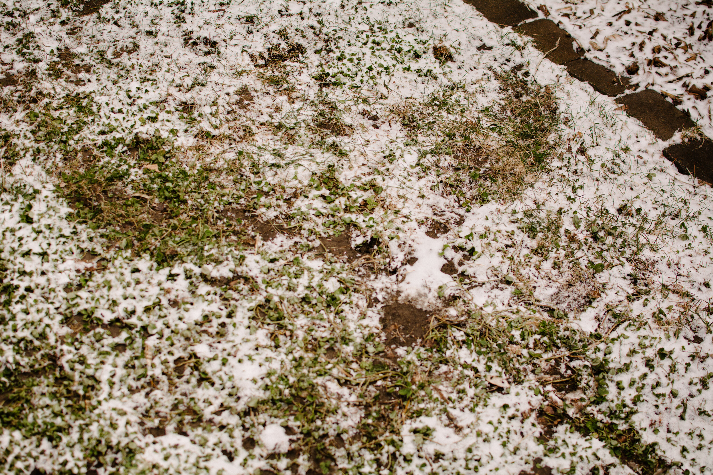 20200422photo-ange-dans-la-neige-d-avril-photographe-documentaire-de-famille-a-montreal-001.jpg