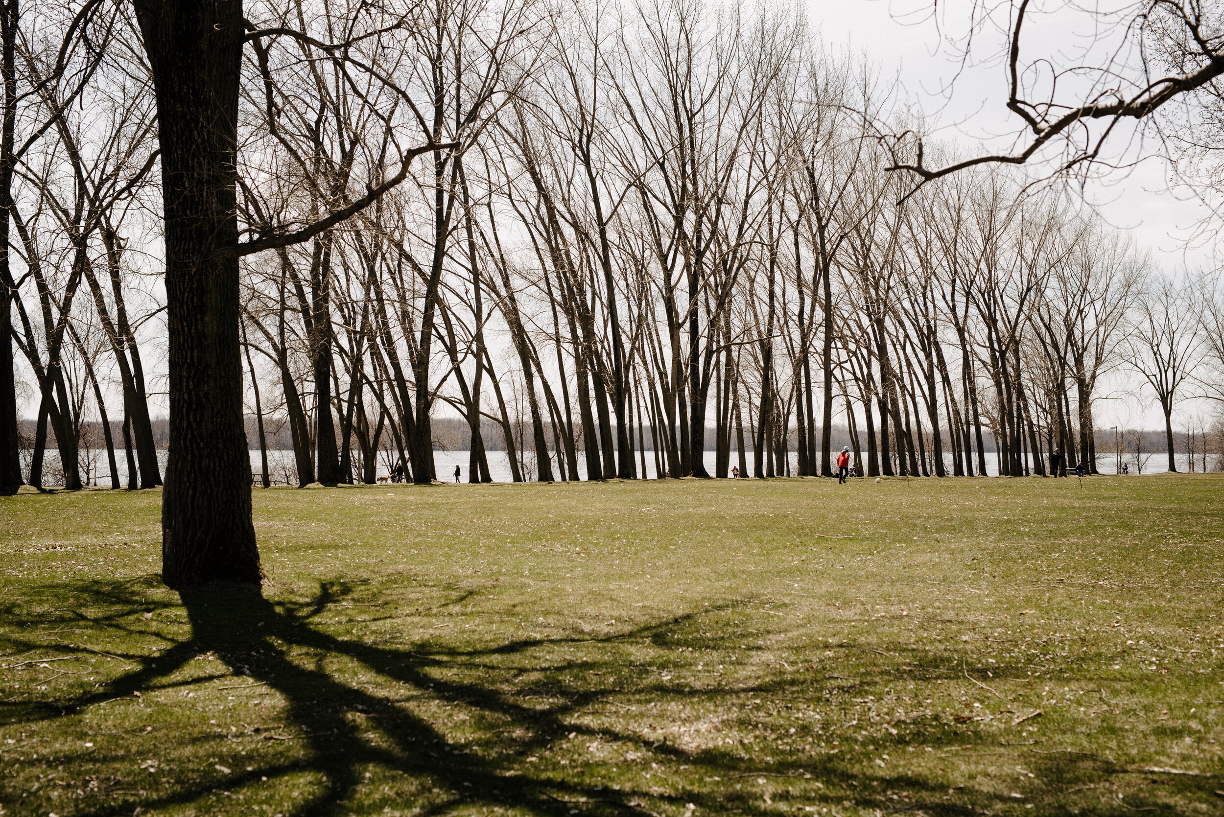 20200425_photo-parc-lasalle-fleuve-saint-laurent-photographe-documentaire-de-famille-a-montreal-002.jpg