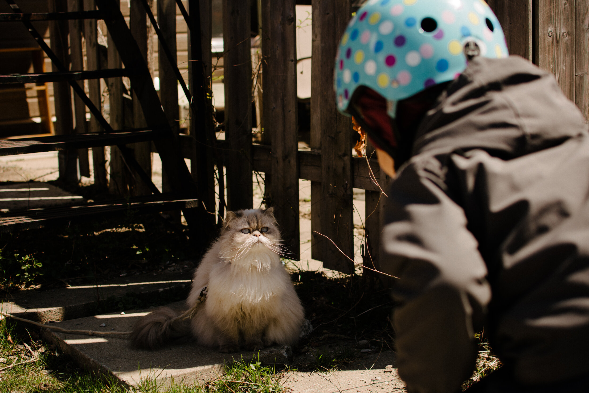 20200512_photo-enfant-qui-parle-a-un-chat-en-laisse-photographe-documentaire-lifestyle-de-famille-a-montreal-001.jpg