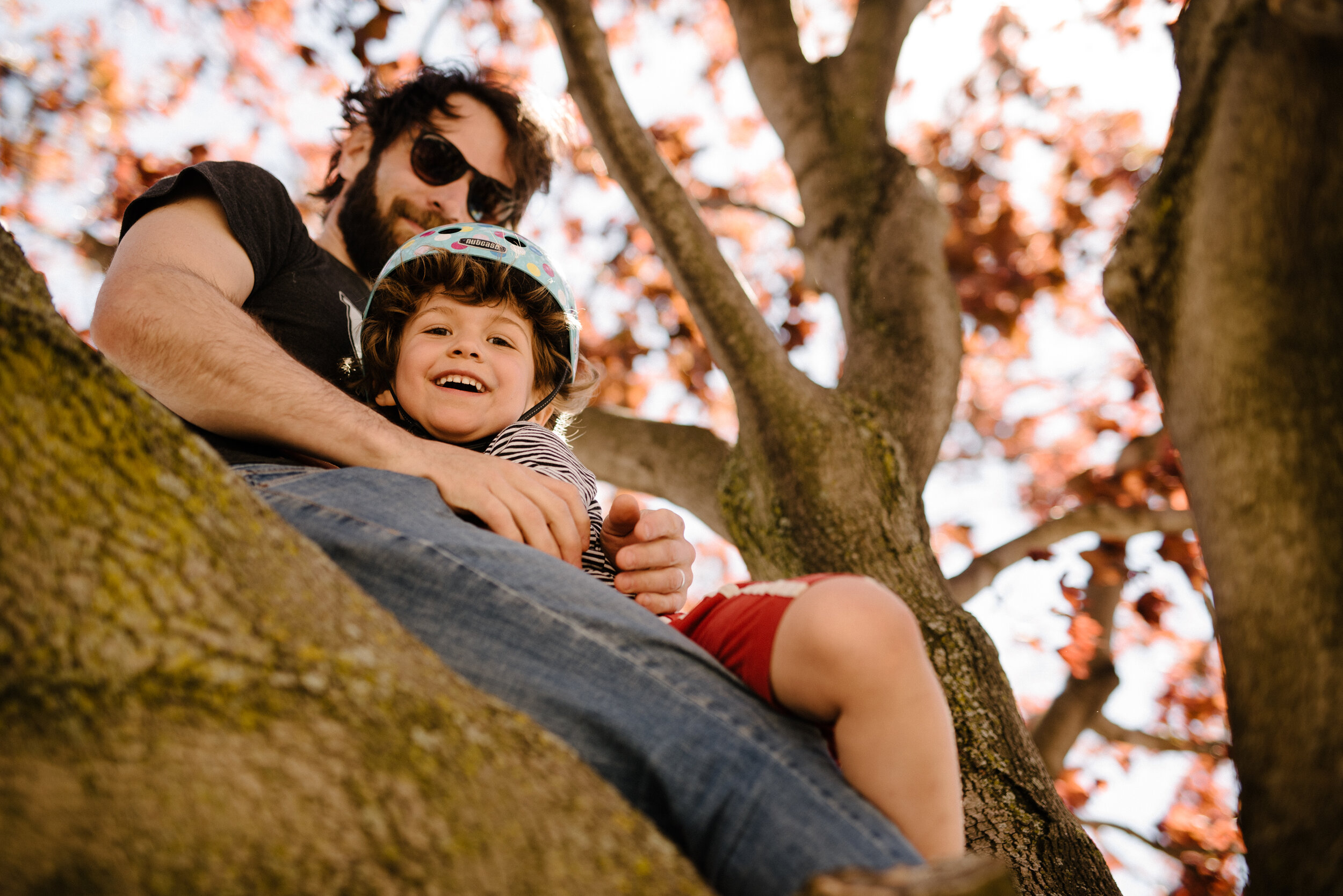 20200523photo-enfant-et-son-pere-dans-un-arbre-photographe-de-famille-lifestyle-documentaire-a-montreal-001.jpg