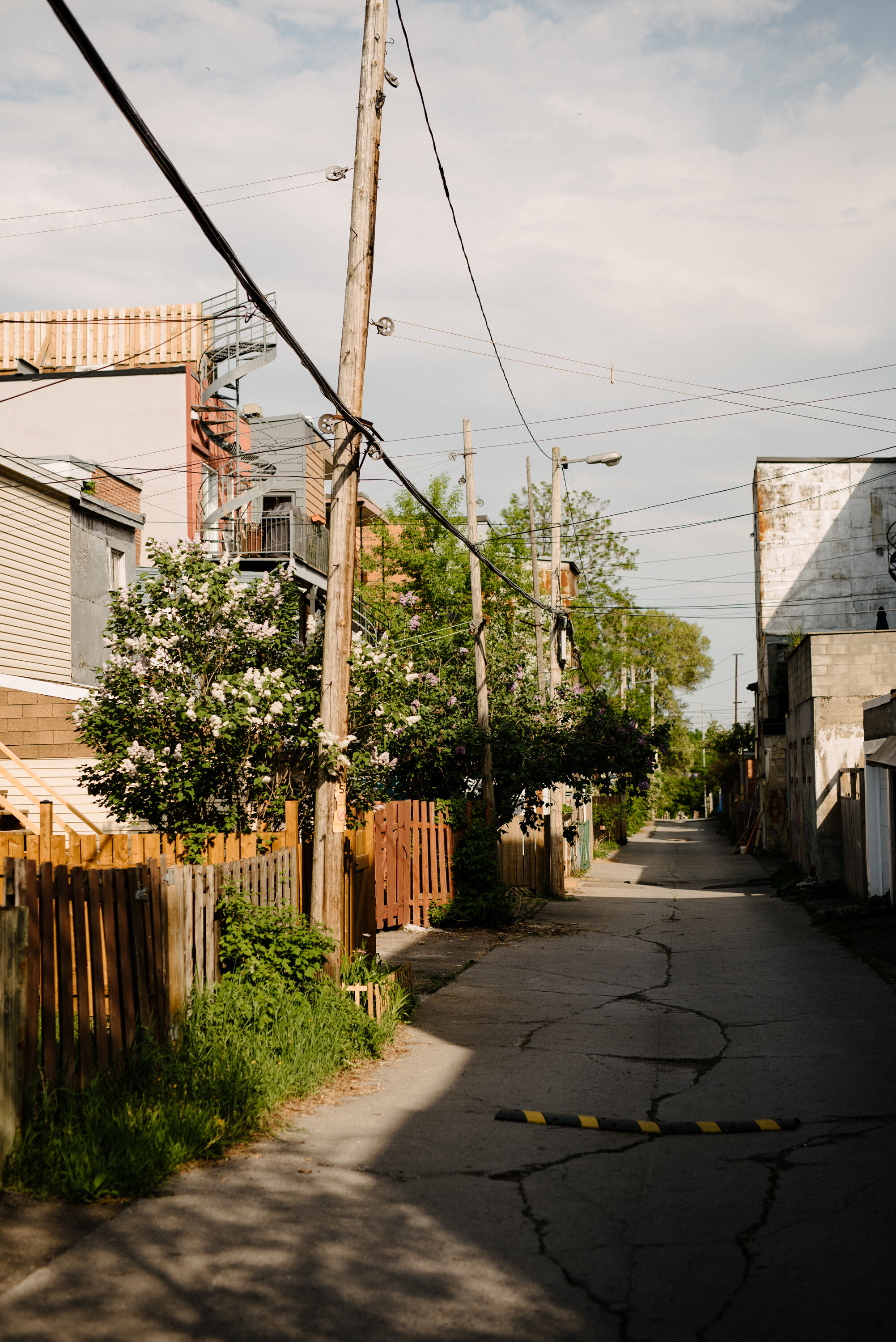 20200527photo-ruelle-lumiere-soleil-lila--photographe-de-famille-lifestyle-documentaire-a-montreal-003.jpg