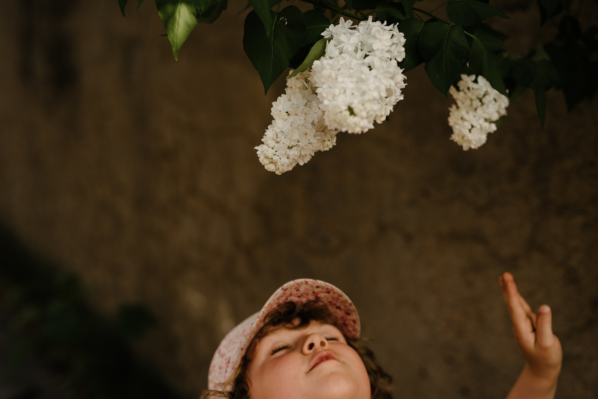 20200527photo-enfant-sentant-des-lilas-blancs-photographe-de-famille-lifestyle-documentaire-a-montreal-004.jpg