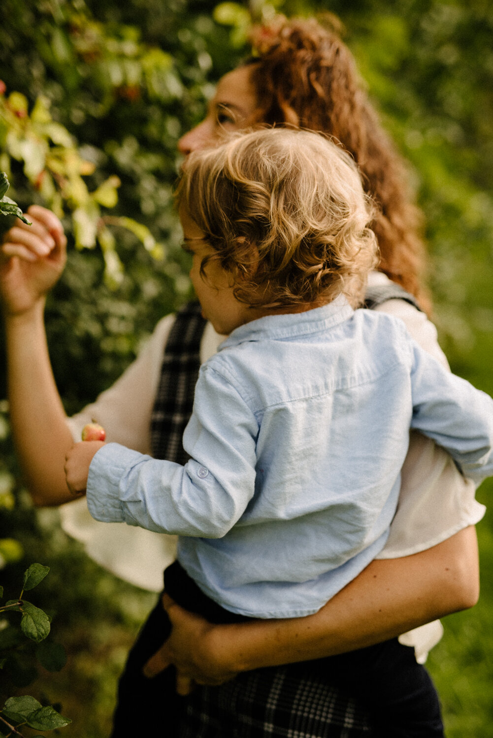 004photo-maman-qui-cueille-des-fruits-avec-son-petit-au-parc-maisonneuve_seance-lifestyle-photographe-de-famille-a-montreal-181.jpg