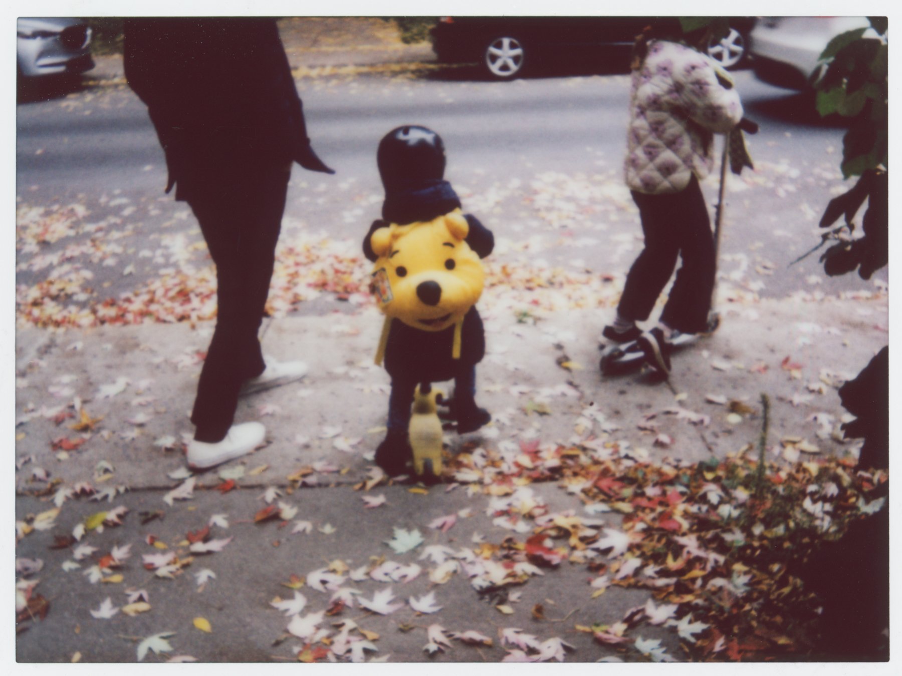 seance-photo-analogique-famille-photographe-film-et-super-8-a-montreal-marianne-charland-72.jpg (copie)