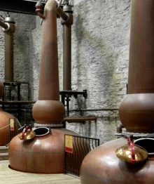bourbon-220x262.jpg