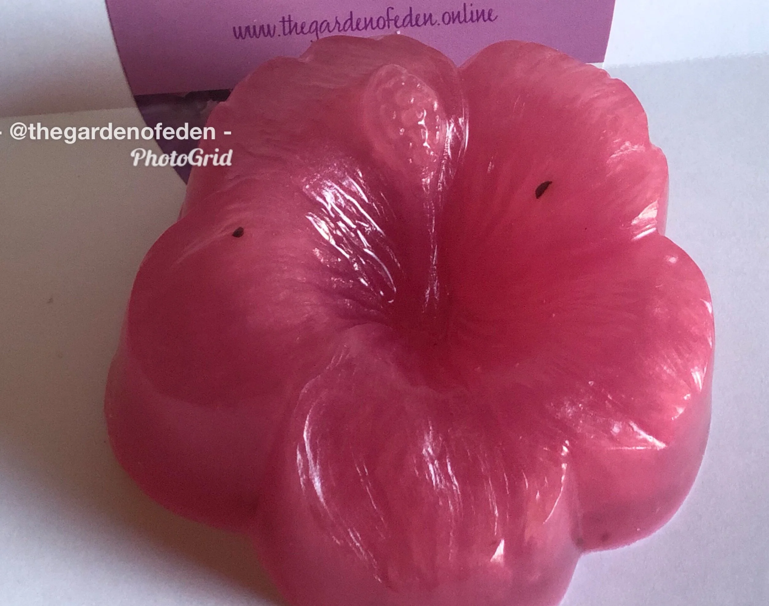 B3F505CB-D88E-40F0-A923-41B9894B1E10