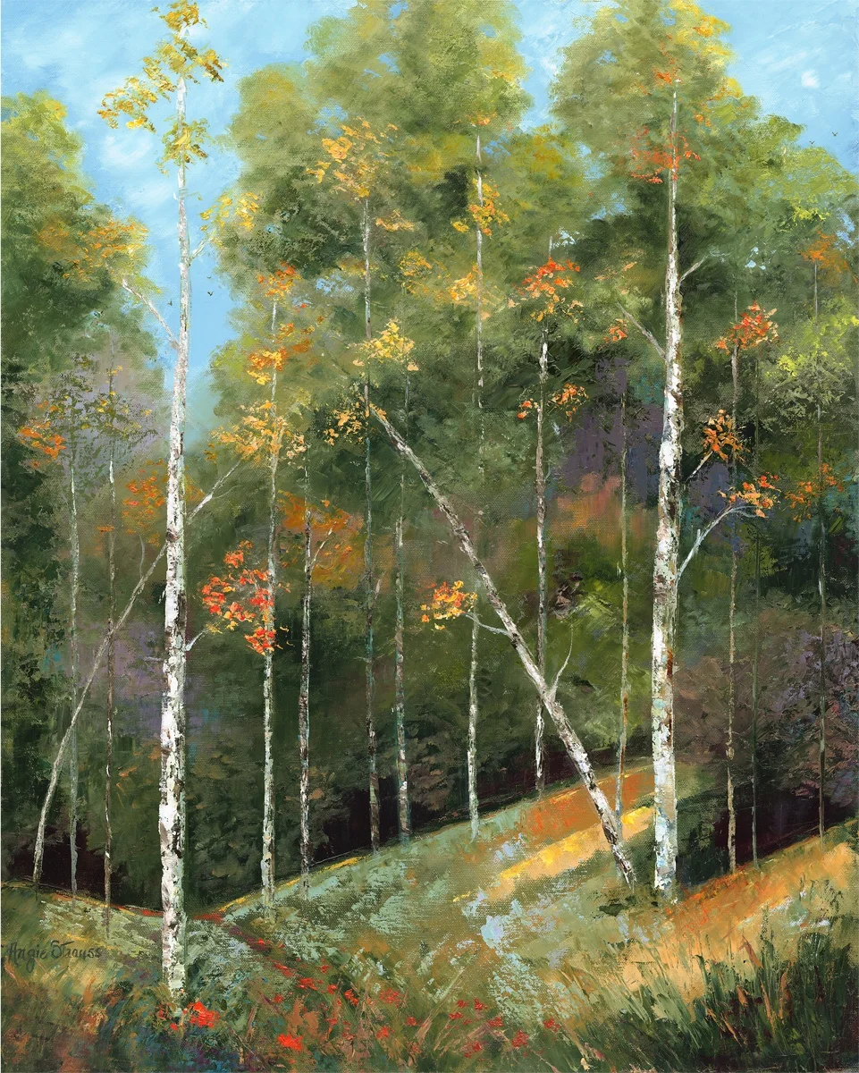 Woodland Walks