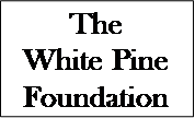 White-Pine.png