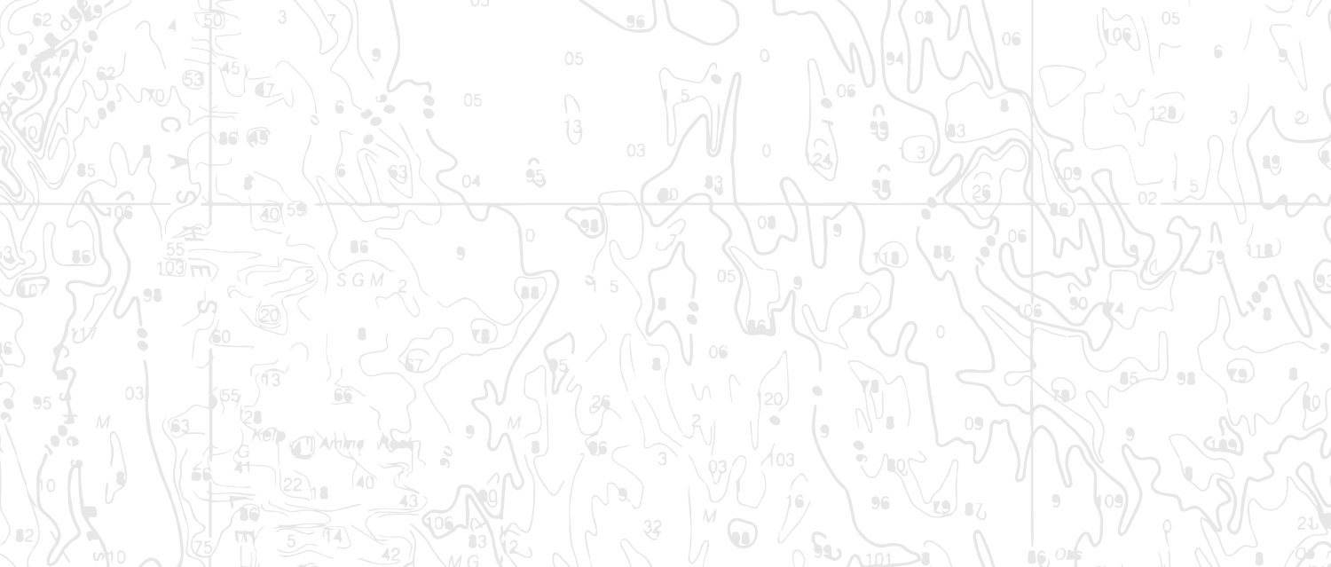 WhiteBG copy.png