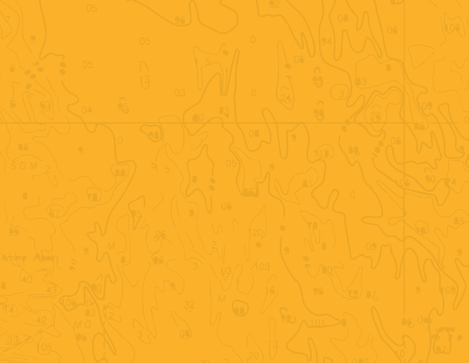 Yellow_TallBG copy.png