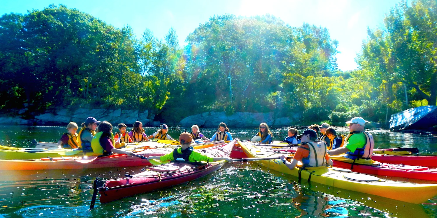 Classic Cow Islanders Rising 6th 8th Rippleffect