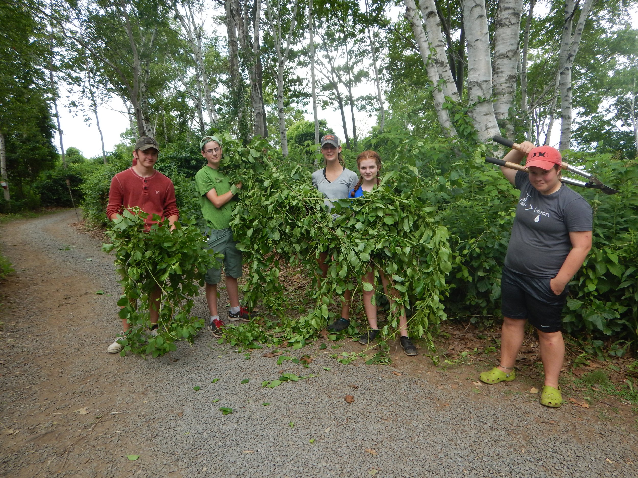 Celp saves a tree.JPG