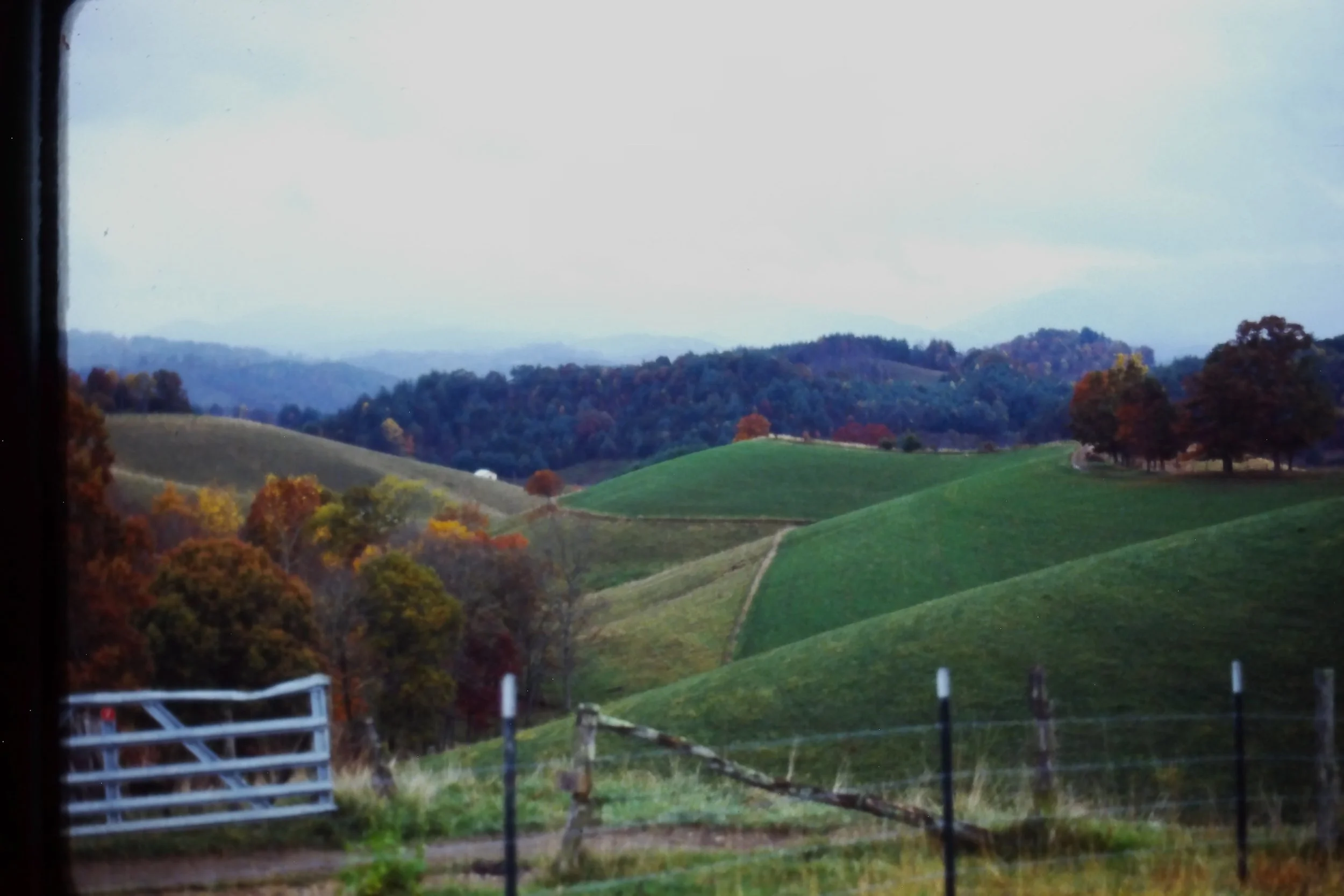 Preserving Farms and Forestland Remains a Priority in Madison County