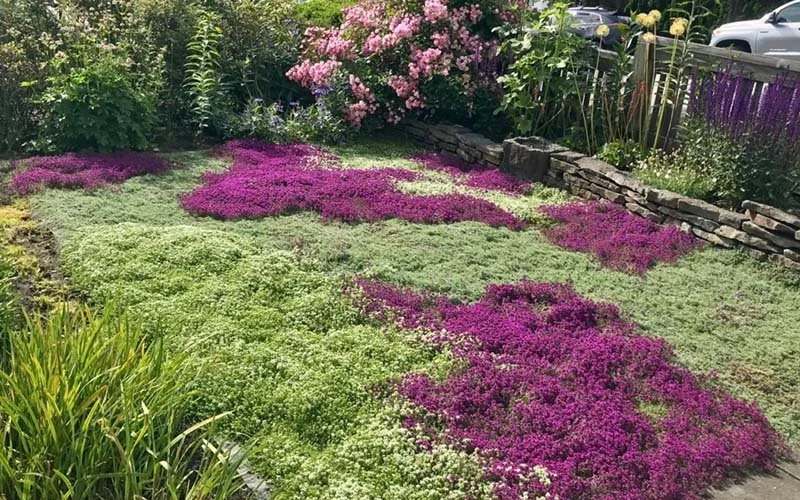 Garden Trends 2022 Grow your own tapestry. — Reston Farm Garden Market