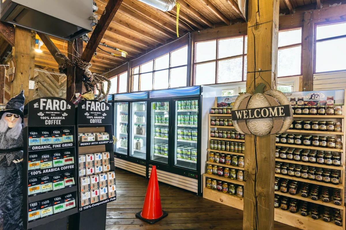 Fall in the Reston Farm Market — Reston Farm Garden Market