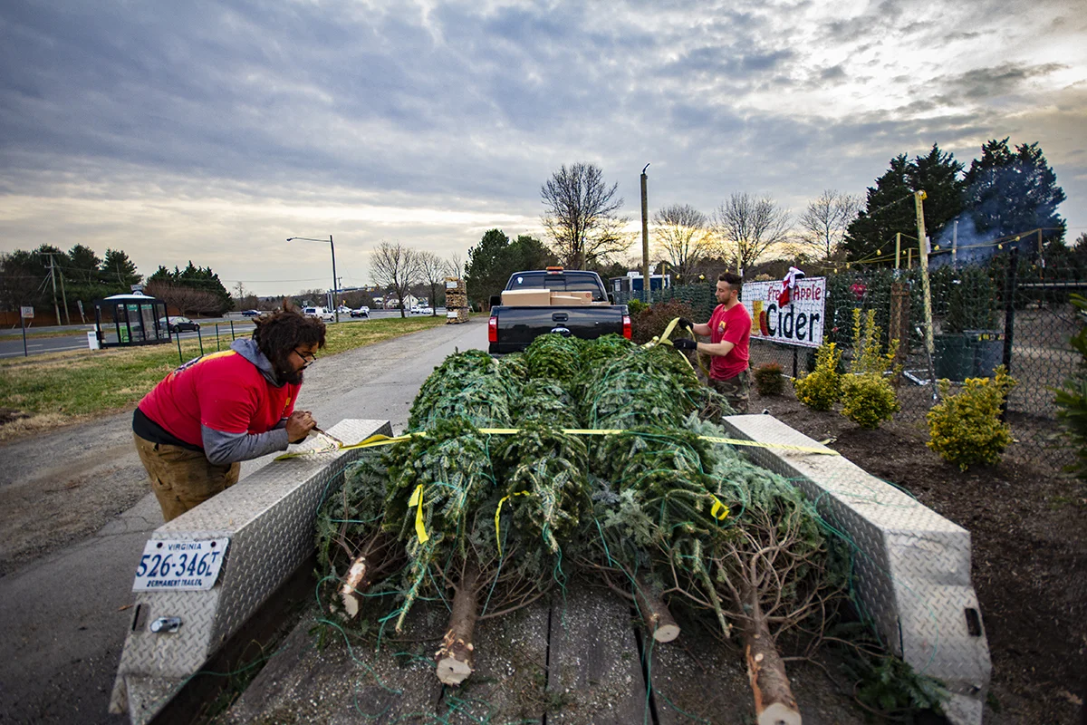 winter-season-christmas-trees-reston-farm-market-va (2).jpg