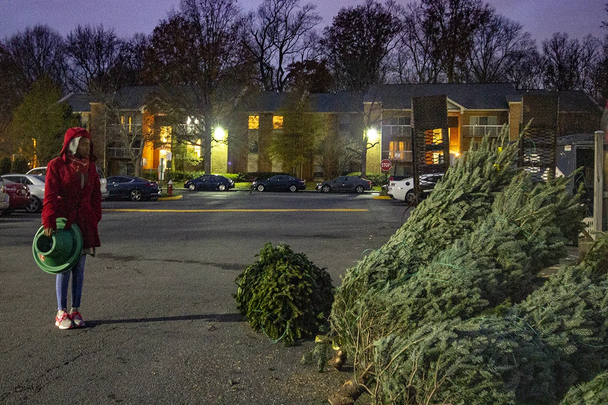 winter-season-christmas-trees-reston-farm-market-va (7).jpg